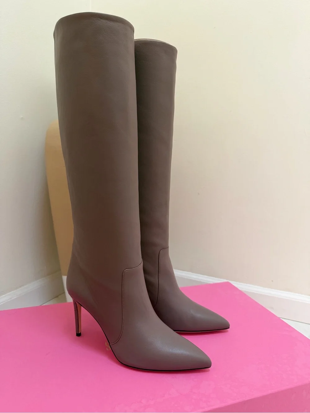 Brand New! Paris Texas Tall Over-The-Knee Pointed Boots in Taupe